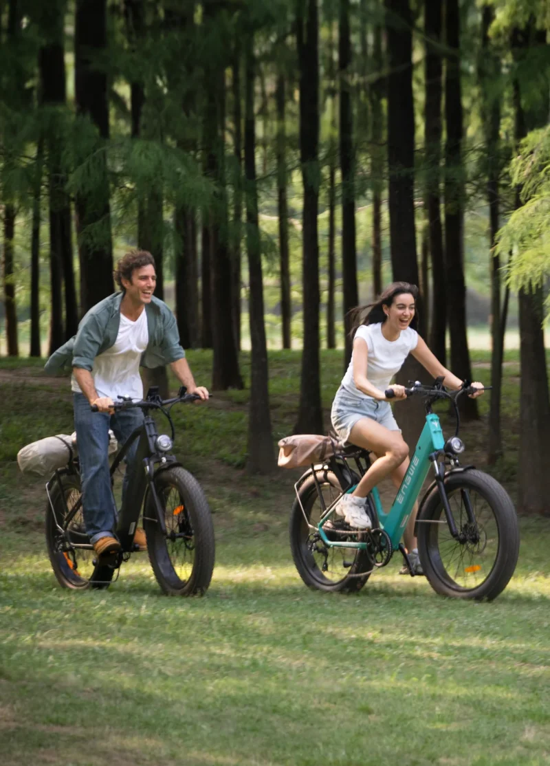 E26 ST Step-Thru Cadre Ouvert myfatbike.fr