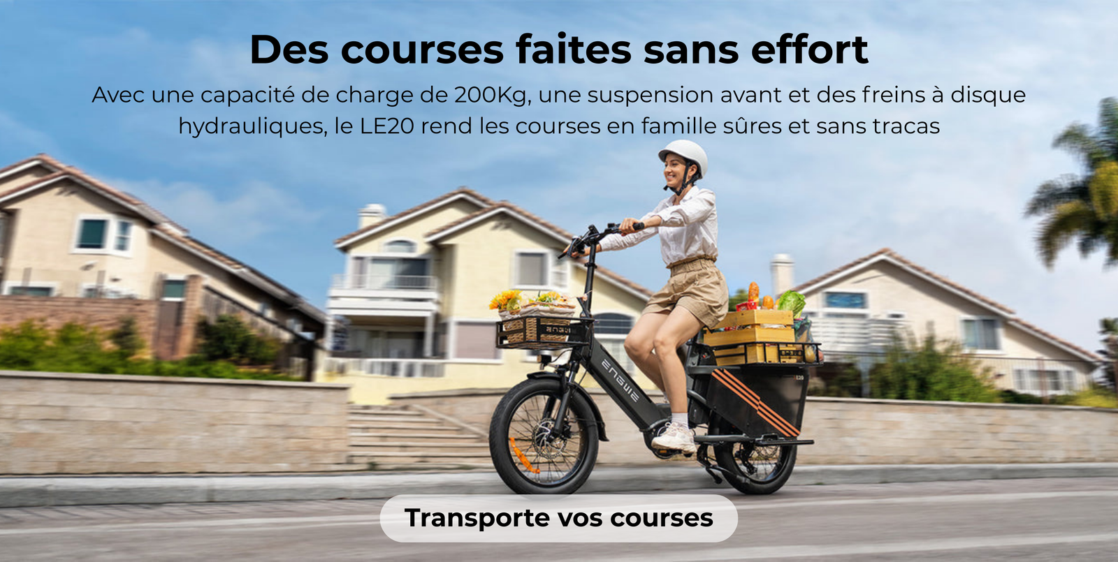 ENGWE LE20 Cargo Version UE Européenne