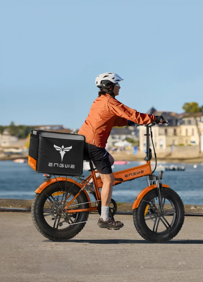 EP-2 Boost Fat Bike Vélo électrique Tout-Terrain 250 W, 120 km, homologué UE, Avec BOOST, Capteur de couple et de puissance – Image 7