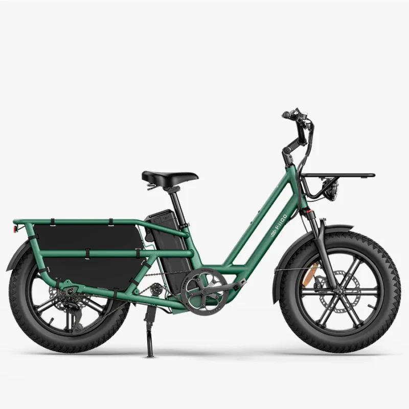 Fiido T2 Vert Vélo Cargo Longtail