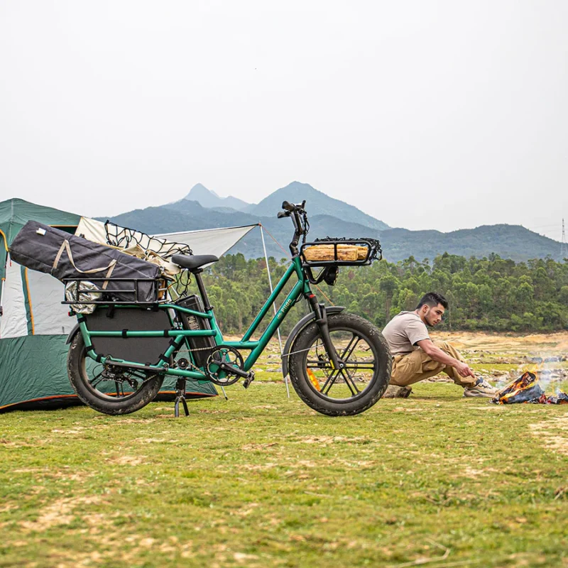 FIIDO T2 - Vélo électrique Cargo Longtail - Moteur 250W Couple 55 N.m - Étanche - Autonomie 136 km – Image 5