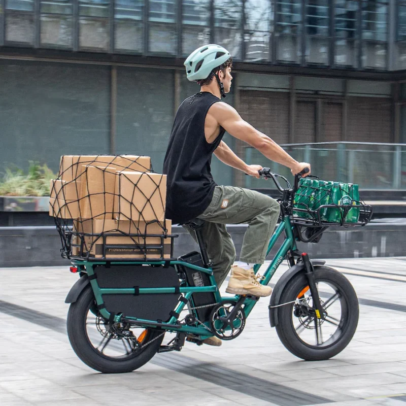 FIIDO T2 - Vélo électrique Cargo Longtail - Moteur 250W Couple 55 N.m - Étanche - Autonomie 136 km – Image 4
