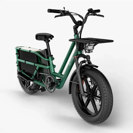 FIIDO T2 Vélo électrique Cargo