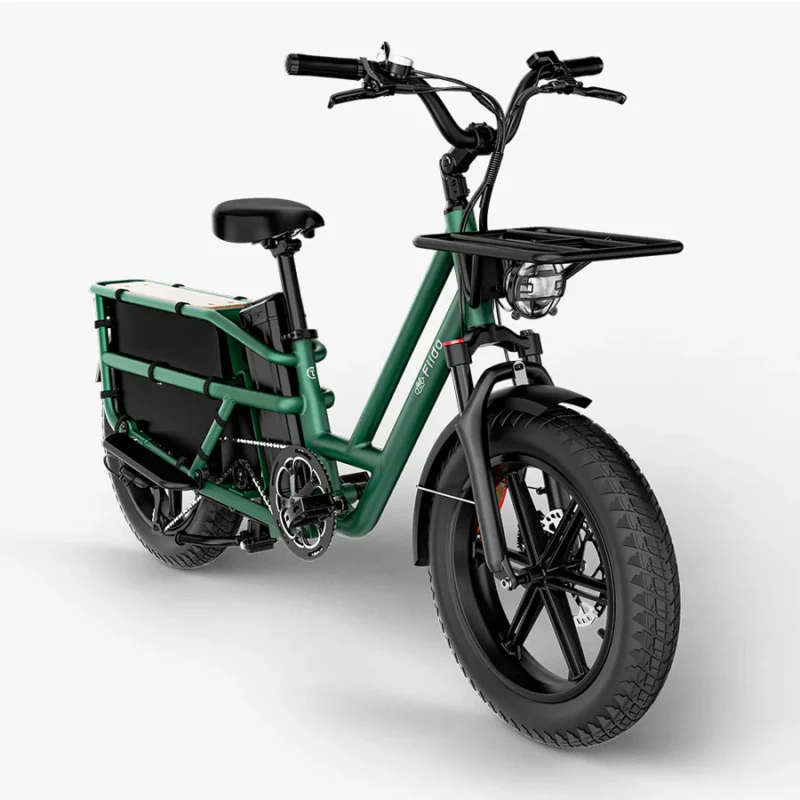FIIDO T2 Vélo électrique Cargo