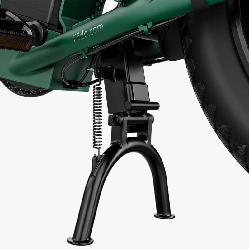 FIIDO T2 Vélo électrique Cargo
