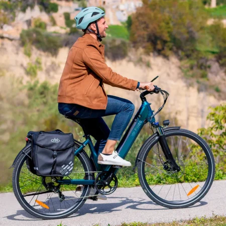 Vélo électrique de ville FIIDO C11 PRO