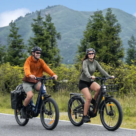 ENGWE E26 3.0 PRO Fatbike Vélo électrique de ville